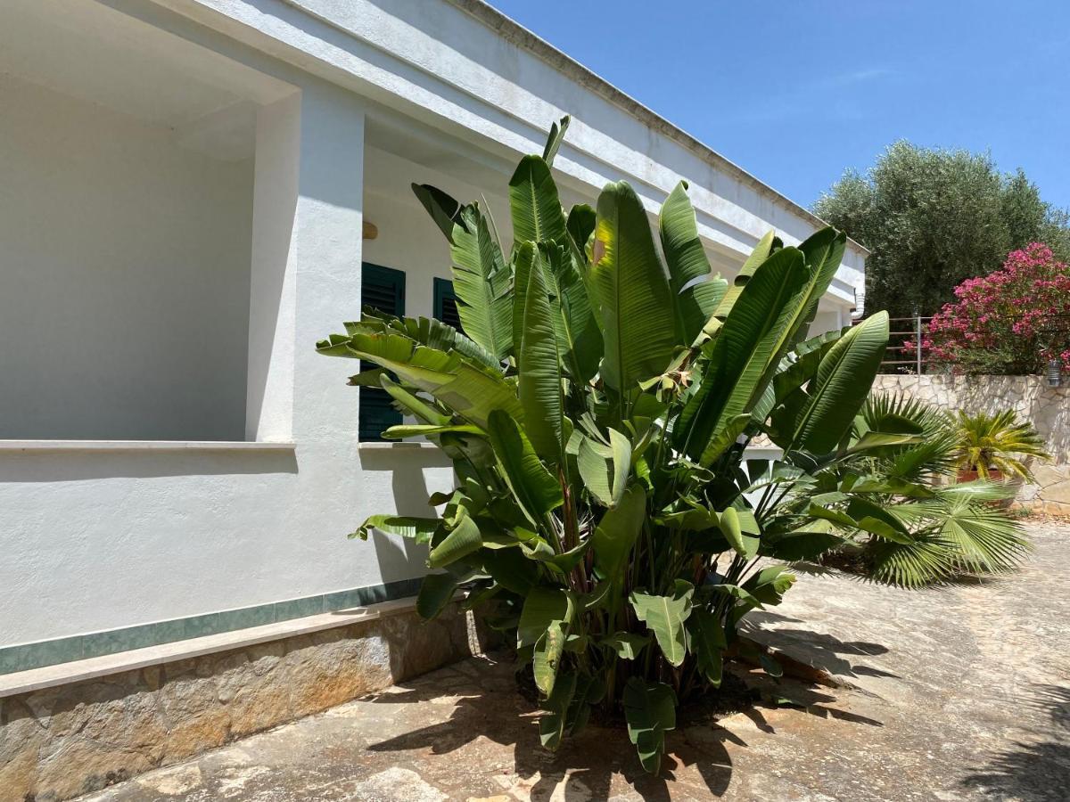 Citta Bianca Country Resort Ostuni Eksteriør billede