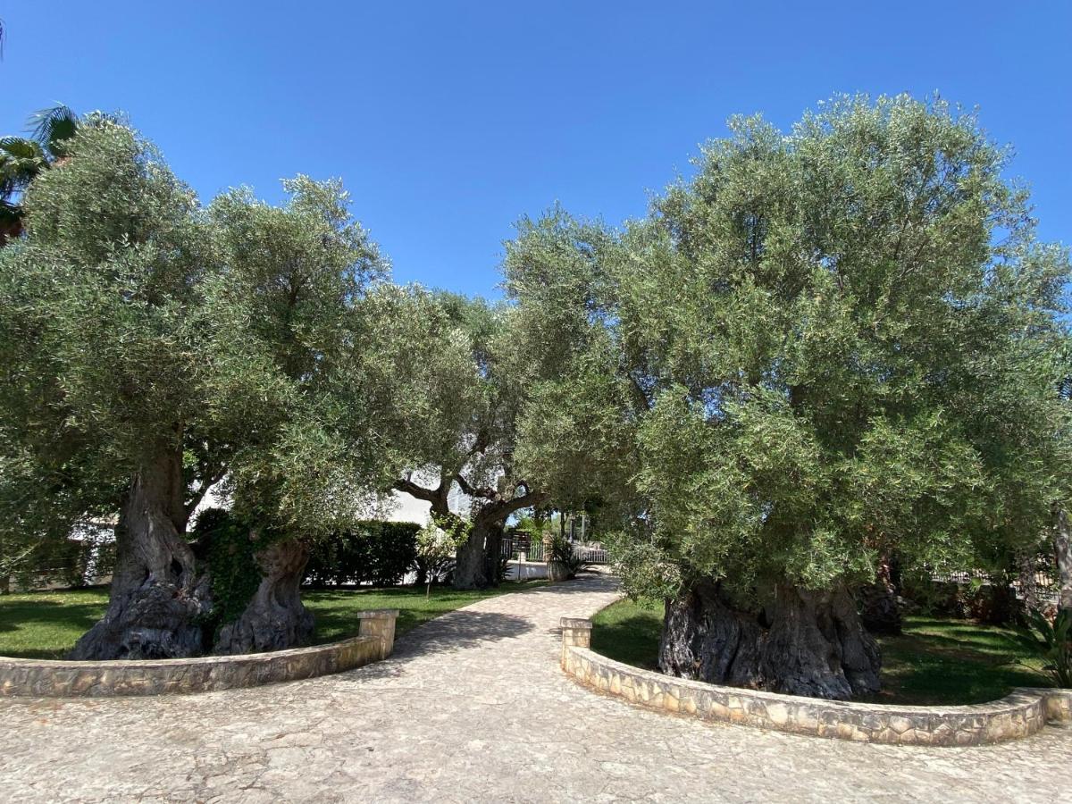 Citta Bianca Country Resort Ostuni Eksteriør billede