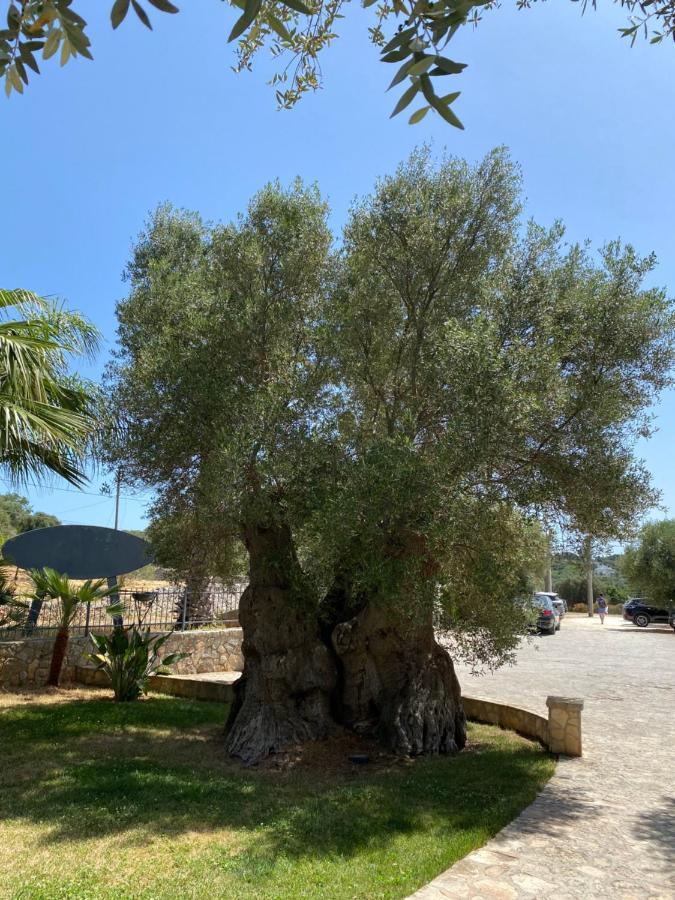 Citta Bianca Country Resort Ostuni Eksteriør billede