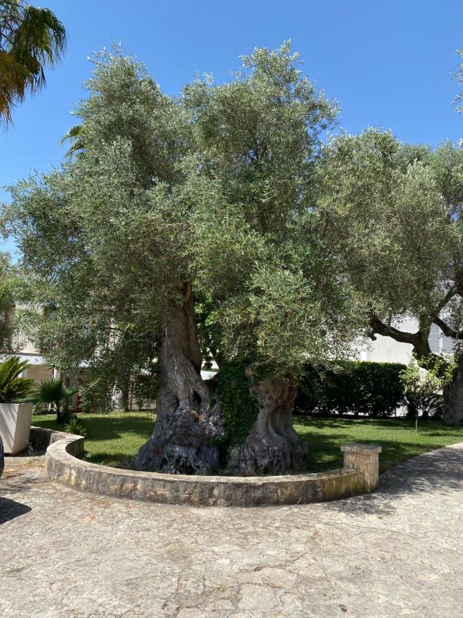Citta Bianca Country Resort Ostuni Eksteriør billede